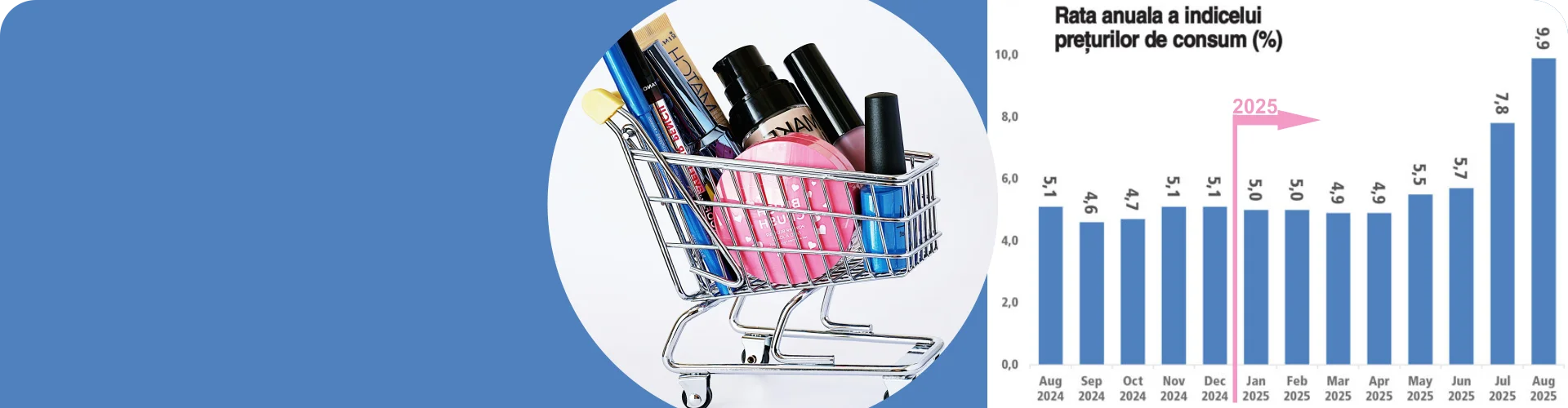 Grafic indice preturi consum 2024 2025